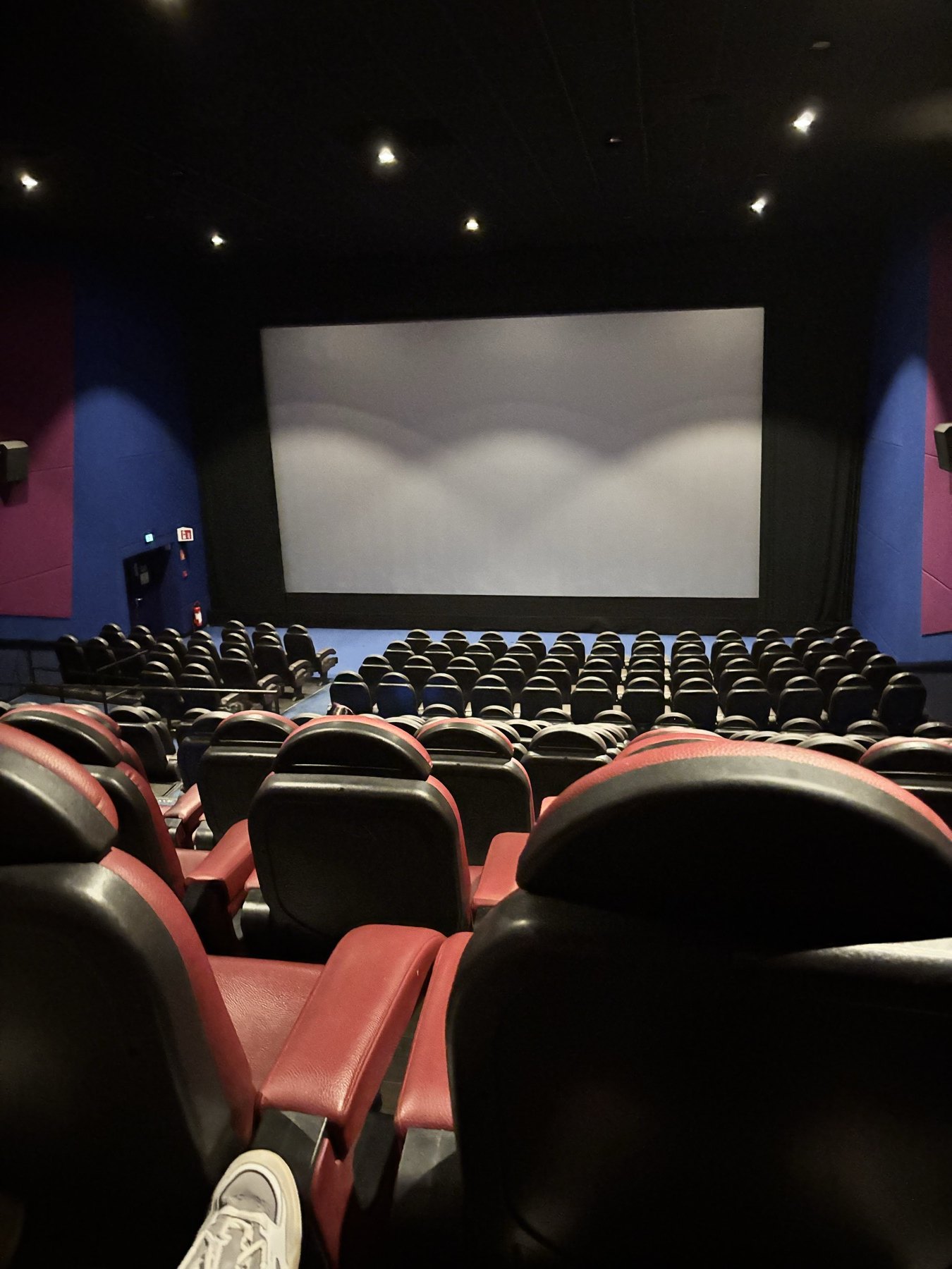 Una tarde en el cine