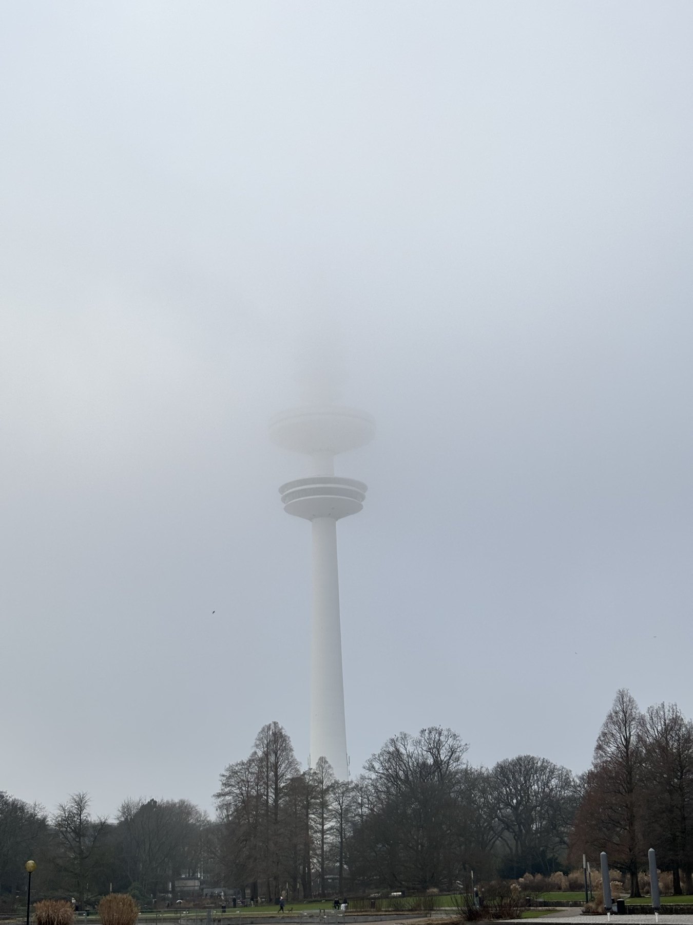 Una torre entre la niebla