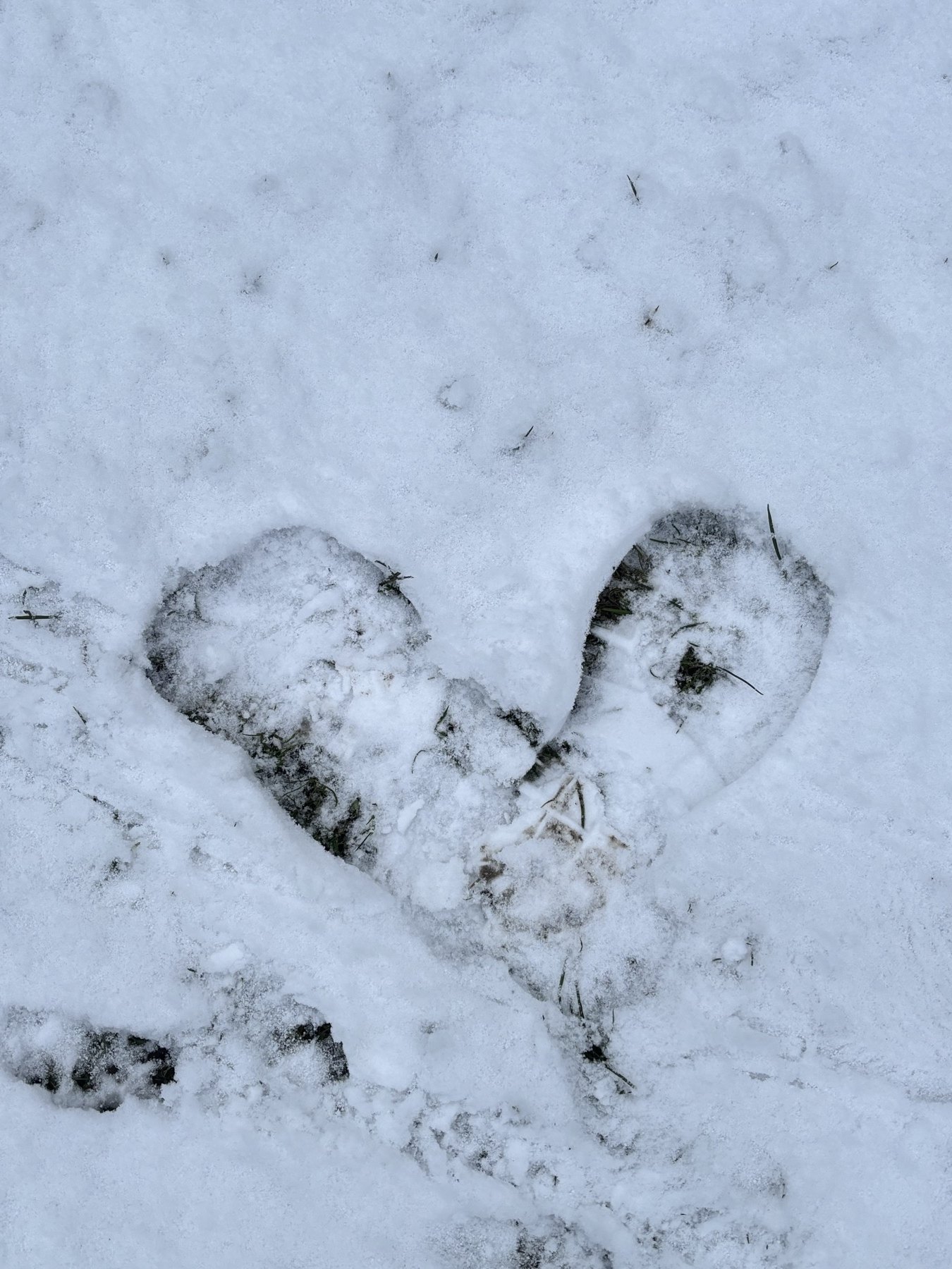 Un corazón en la nieve