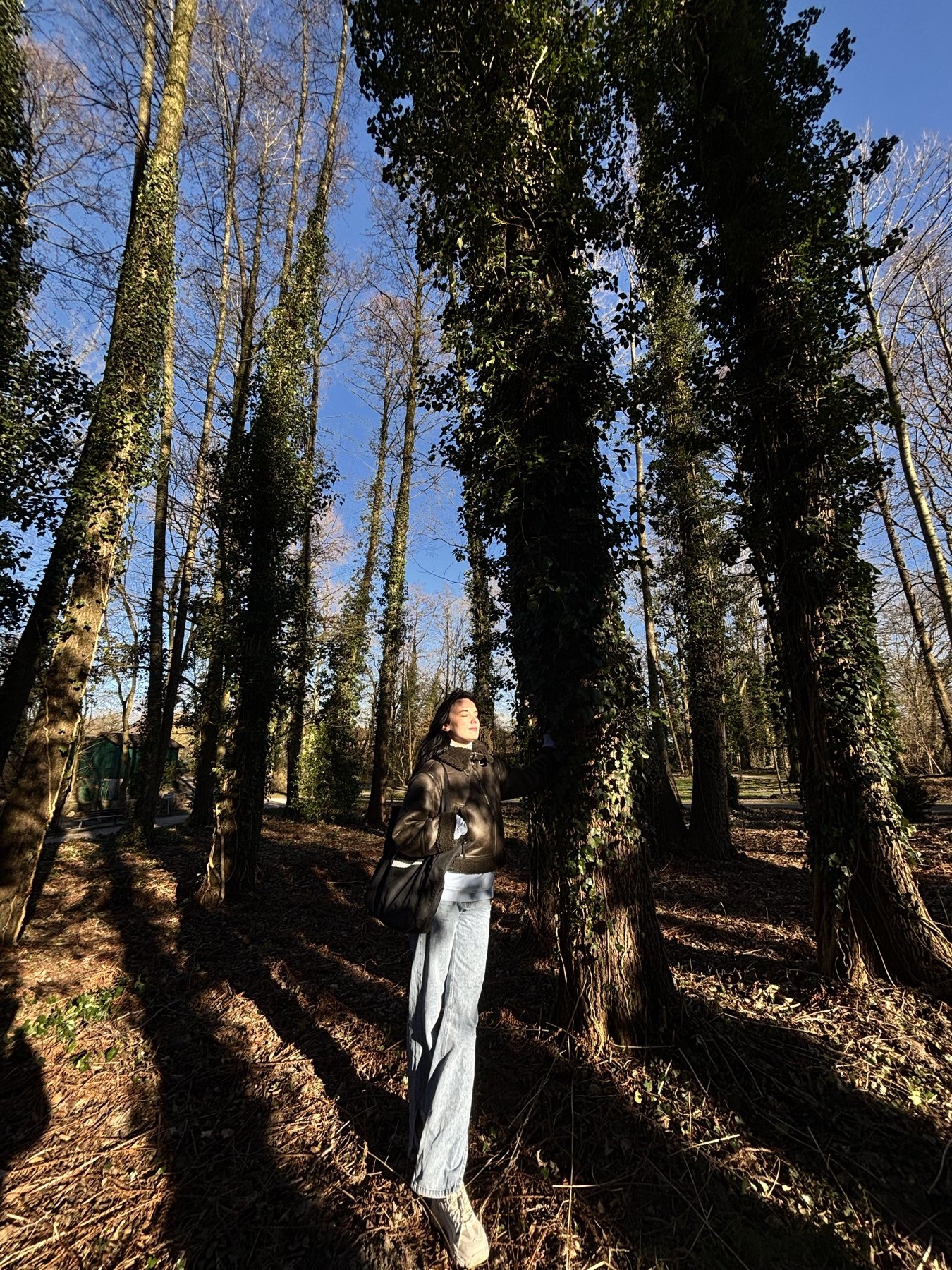 Un paseo entre árboles